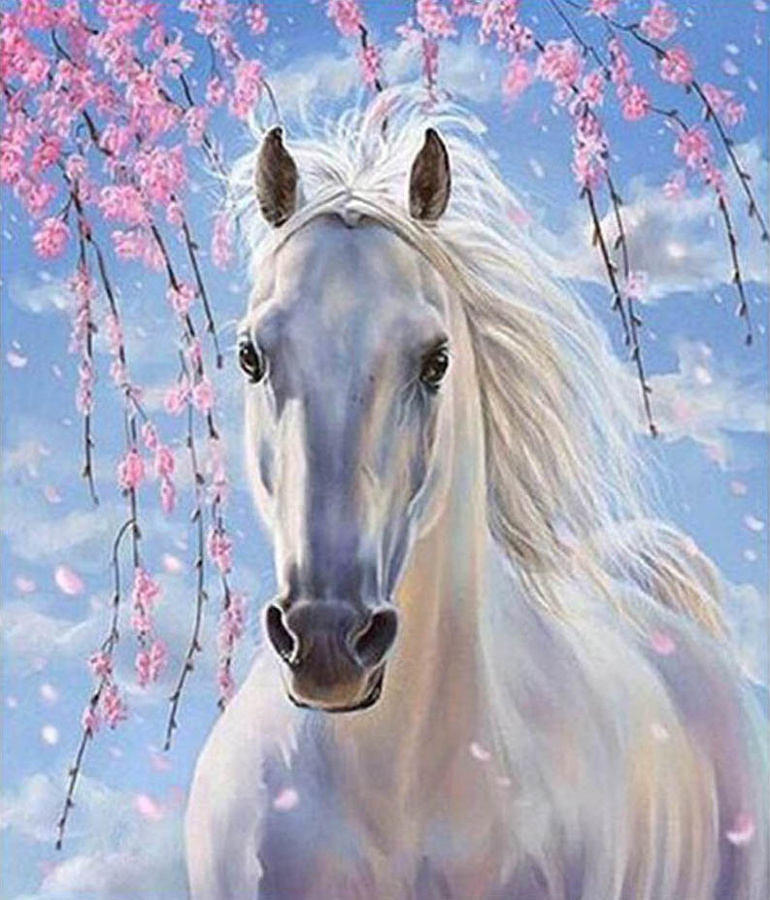 Картина по номерам на холсте 50х40 "Белая лошадь"